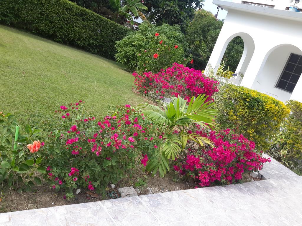 Lorenton Hideaway Lucea Ngoại thất bức ảnh