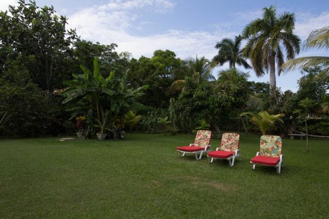Lorenton Hideaway Lucea Ngoại thất bức ảnh